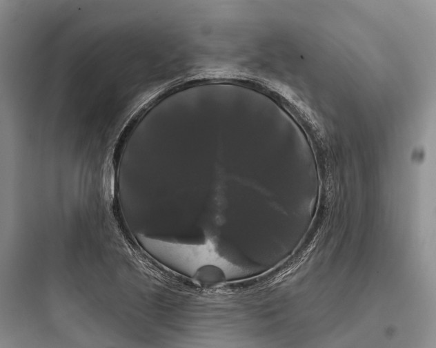 X0000097591221200803211629