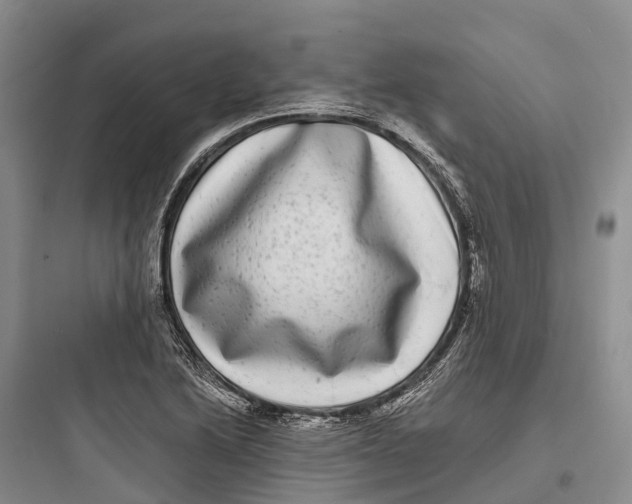 X0000097591222200803211629