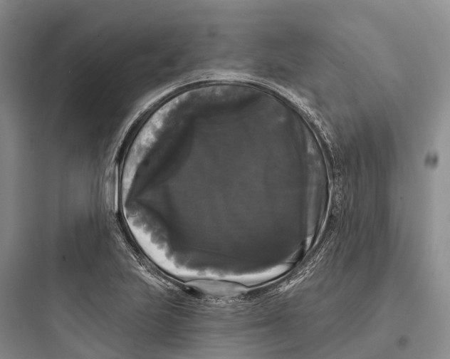 X0000097591223200803211629