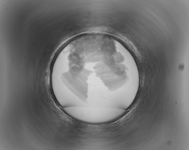 X0000097591224200803211629