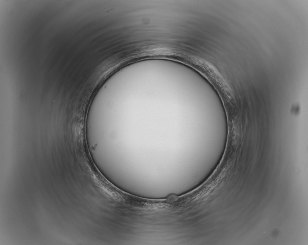 X0000097591225200803211629