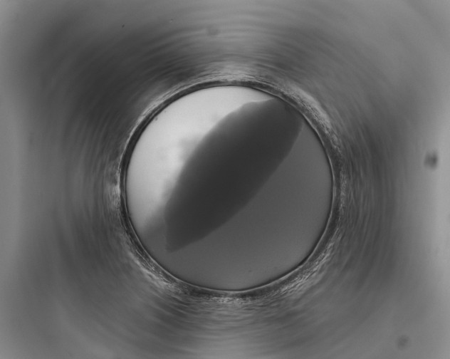 X0000097591226200803211629