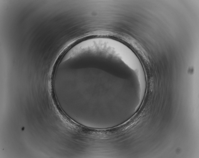 X0000097591229200803211629