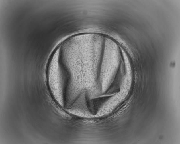 X0000097591230200803211629