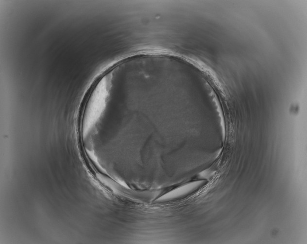 X0000097591231200803211629