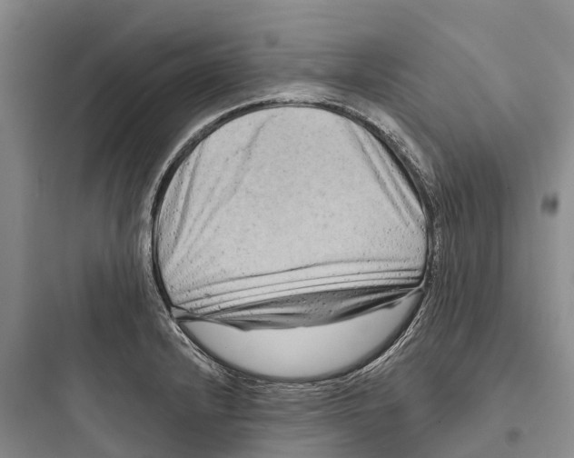 X0000097591232200803211629