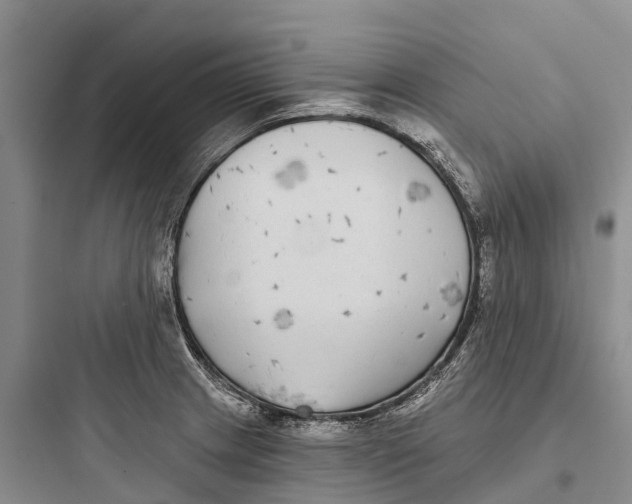 X0000097591233200803211629