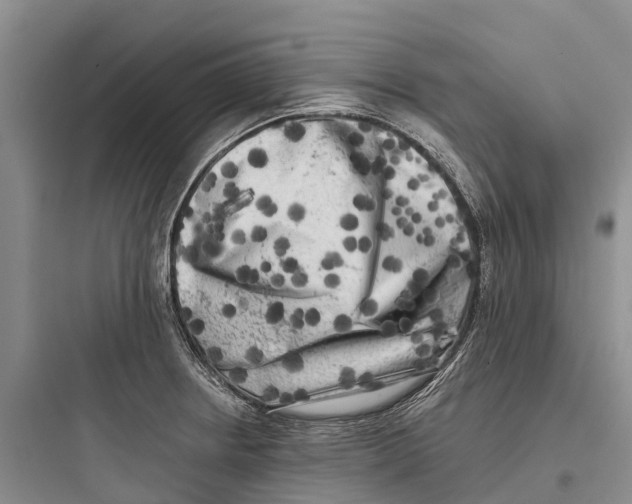 X0000097591234200803211629