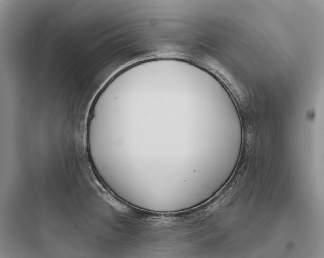 X0000097591236200803211629