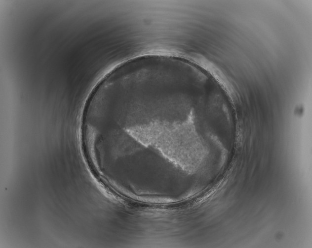 X0000097591237200803211629