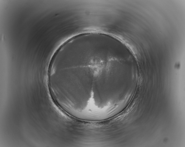 X0000097591239200803211629