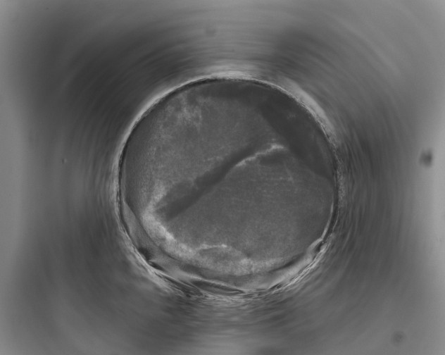 X0000097591240200803211629