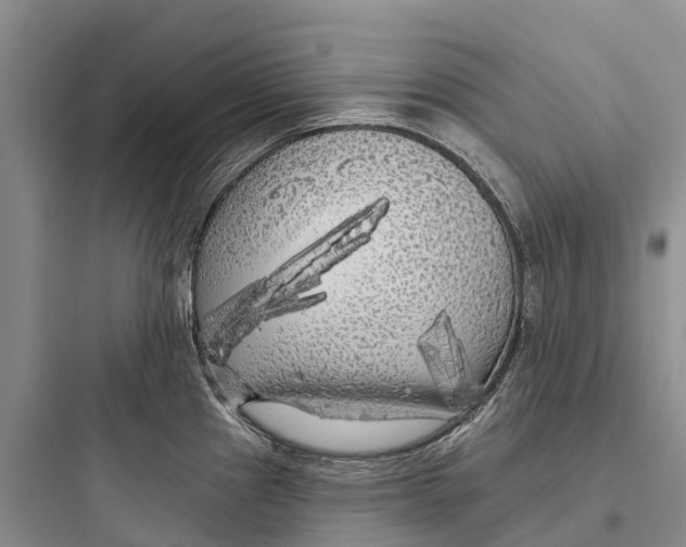 X0000097591241200803211629