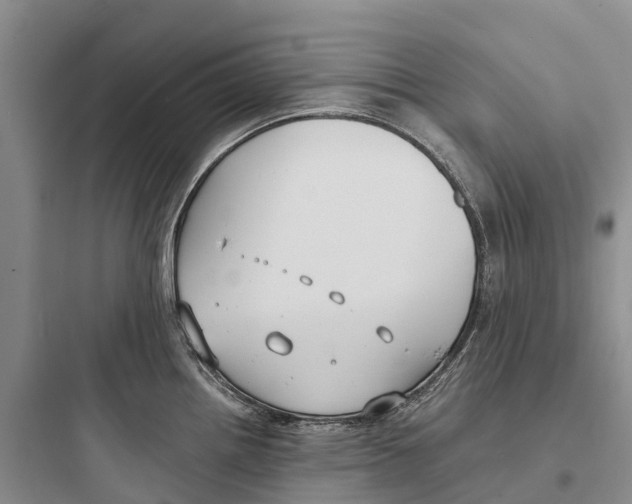 X0000097591242200803211629