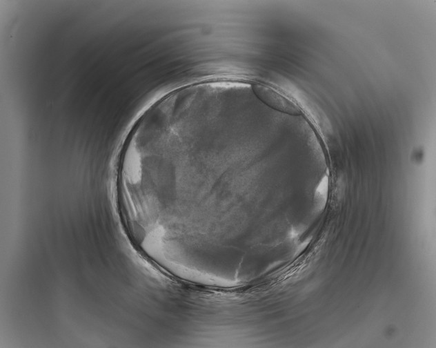 X0000097591243200803211629