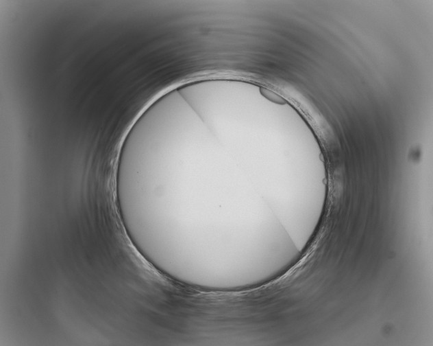 X0000097591244200803211629