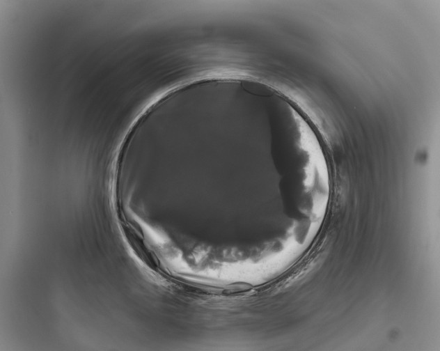 X0000097591245200803211629