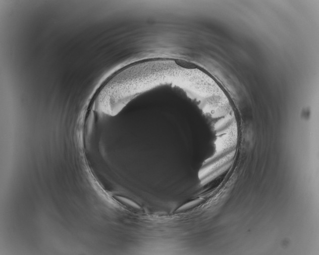 X0000097591246200803211629