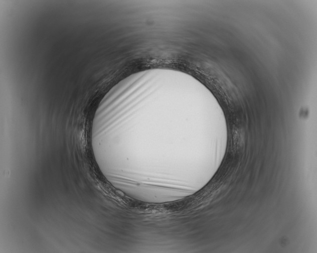 X0000097591250200803211628