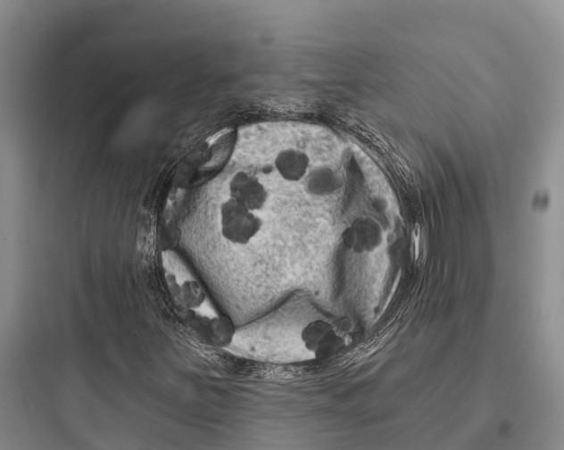 X0000097591251200803211628