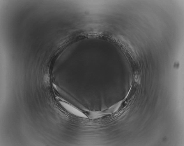 X0000097591252200803211628