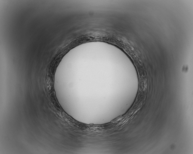 X0000097591253200803211628