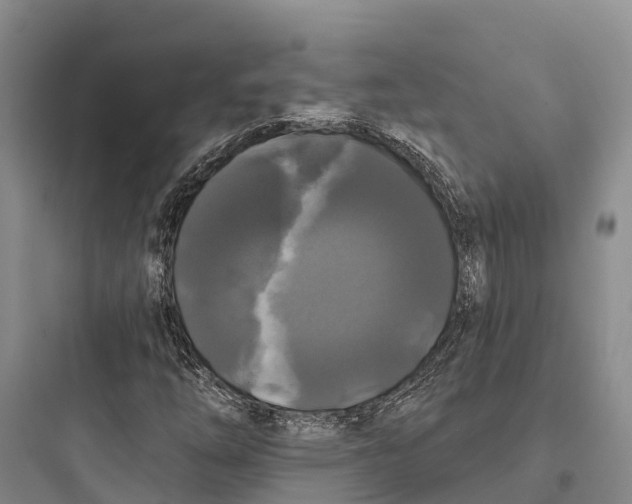 X0000097591254200803211628