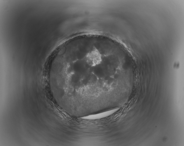 X0000097591255200803211628