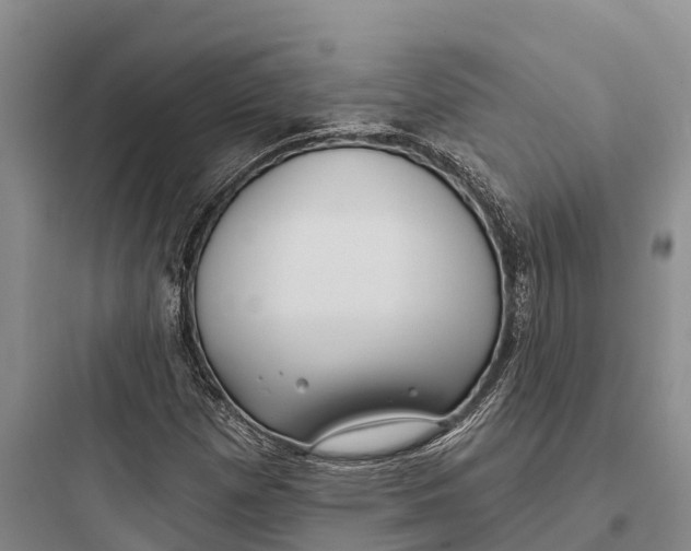 X0000097591257200803211628