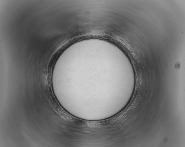 X0000097591258200803211628