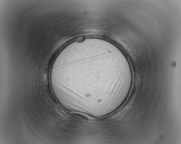 X0000097591259200803211628