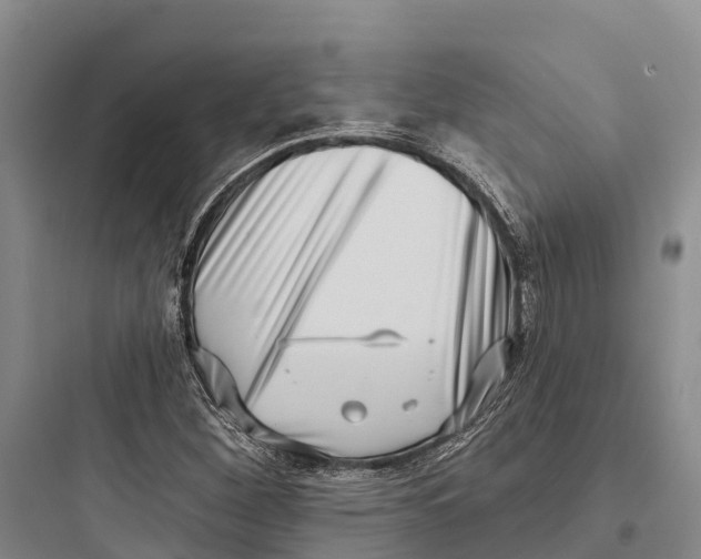 X0000097591260200803211628