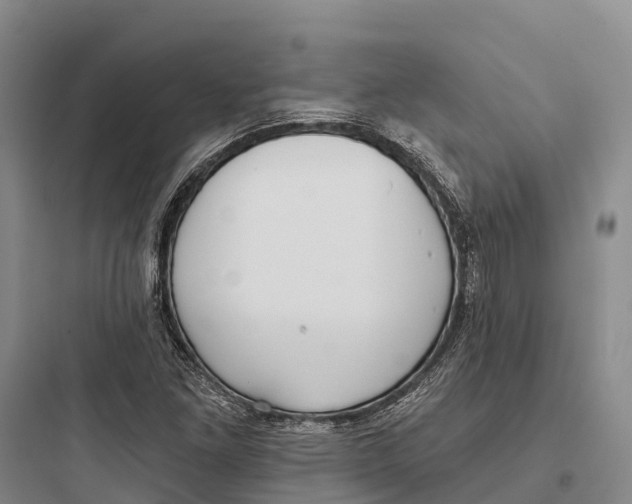 X0000097591261200803211628