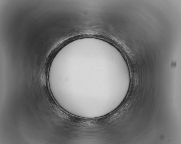 X0000097591262200803211628