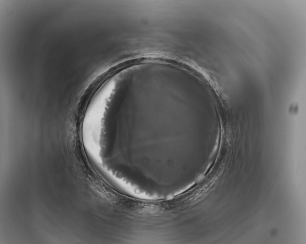 X0000097591263200803211628