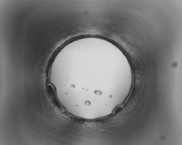 X0000097591264200803211628