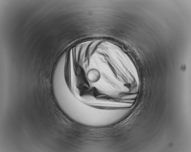 X0000097591265200803211628