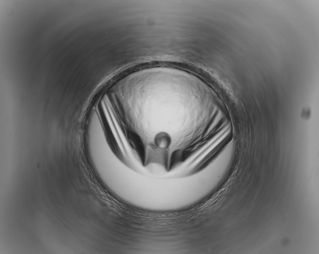 X0000097591266200803211628