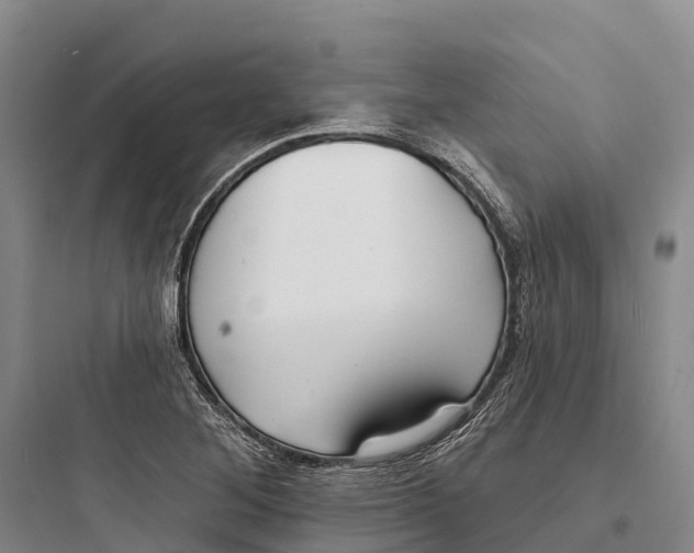 X0000097591268200803211628