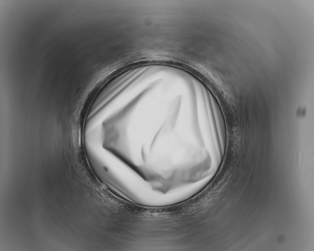 X0000097591269200803211628