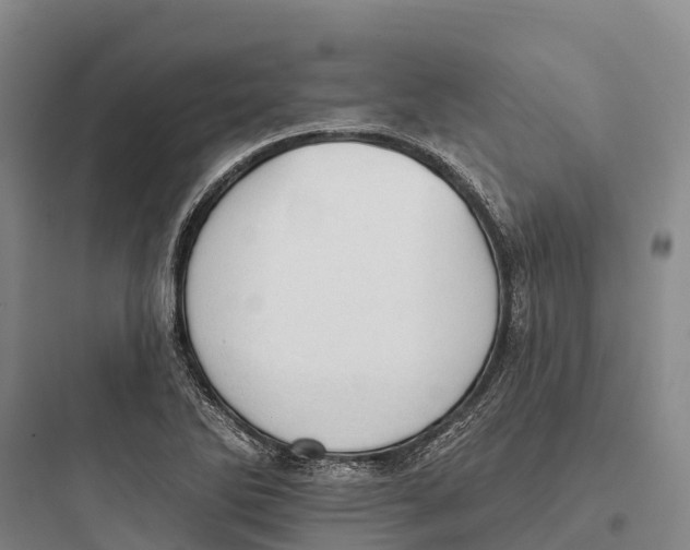 X0000097591270200803211628