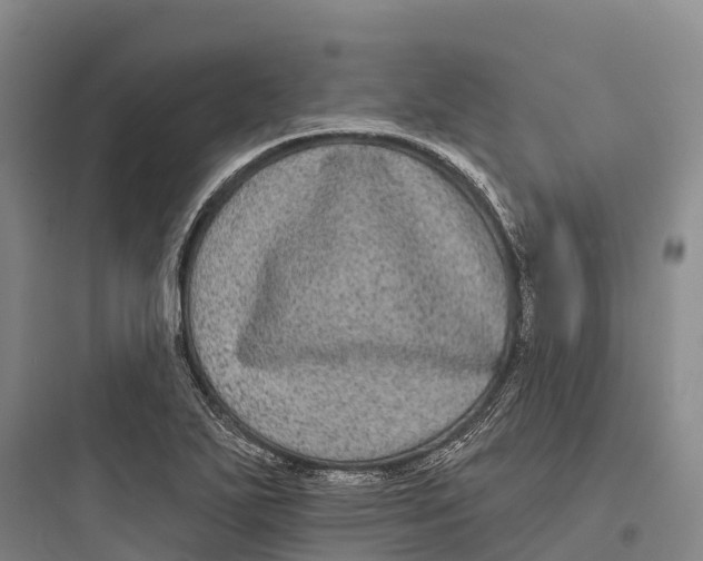 X0000097591271200803211628