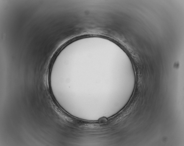 X0000097591272200803211628