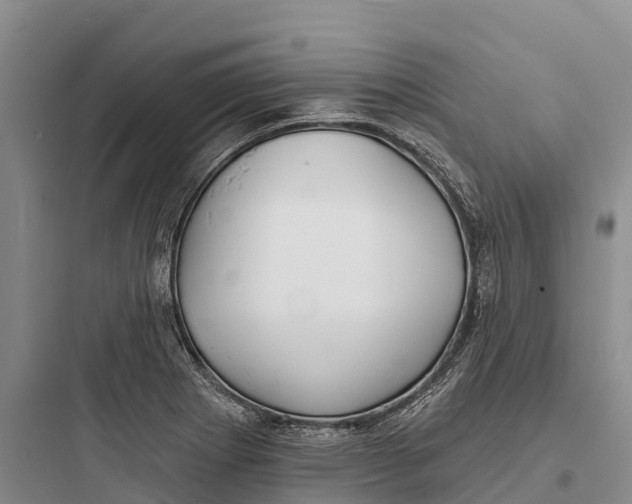 X0000097591273200803211628