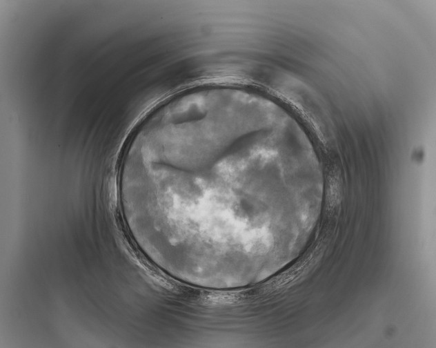 X0000097591274200803211628