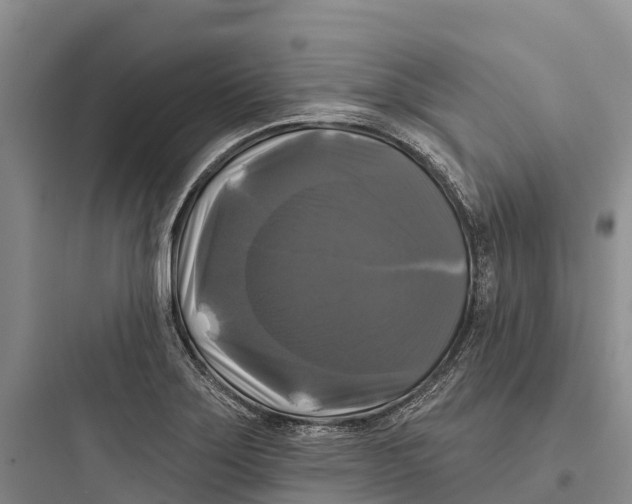 X0000097591275200803211628