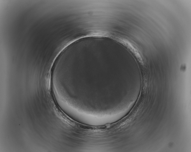 X0000097591276200803211628