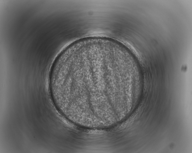 X0000097591277200803211628