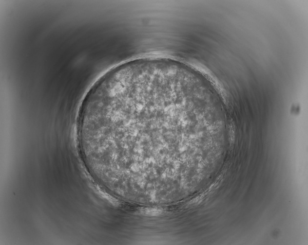 X0000097591278200803211628