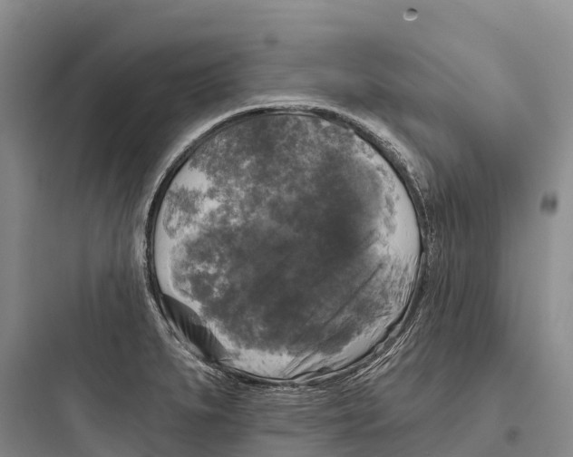 X0000097591279200803211628